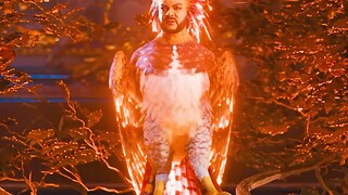 神奇的“火鸟一族”，竟然是公的下蛋！