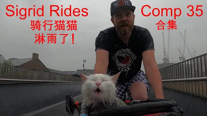 Sigrid Rides Her Cat PT.35