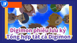 [Digimon phiêu lưu ký]Tổng hợp tất cả Digimon (Mùa đầu Tập29-39)_3