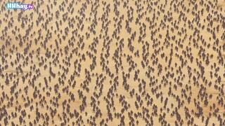 Hhhay.ink...Tập 10.Tôi sẽ đỡ hết mọi thứ.