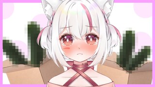 🐇 Sena Ketemu Hal GWS Saat Rapiin Barang【Vtuber Indonesia】