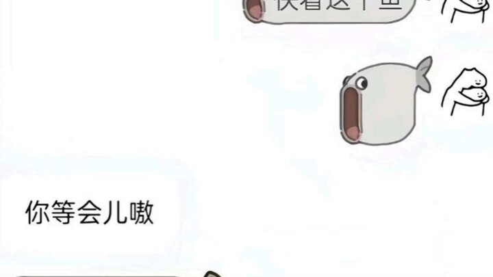 “Lịch sử trò chuyện”