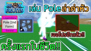 Roblox : Blox Fruits ⚡เล่น Pole ล่าค่าหัวครั้งแรกแต่เจอโปรอีกแล้ว!!