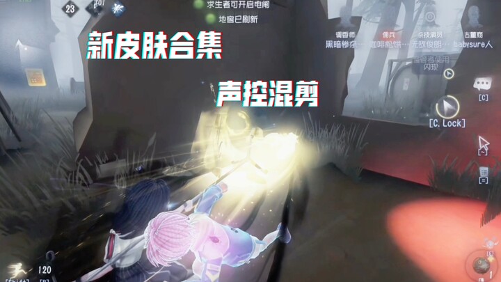 神不玩新皮肤我玩