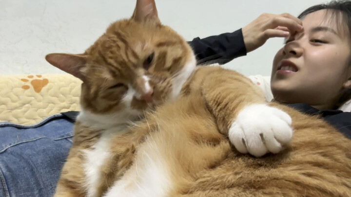 ใครอยู่แถวนี้รีบมาคุ้มกันเดี๋ยวนี้!