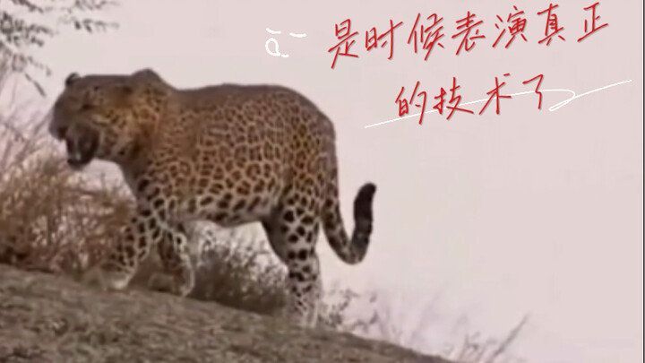 Make me crack up with laughter!!!