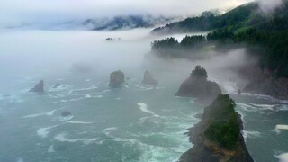 Nature.S41E06.Soul.of.the.Ocean.1080p.AMZN.WEB-DL.DD+5.1.H.264-NTb