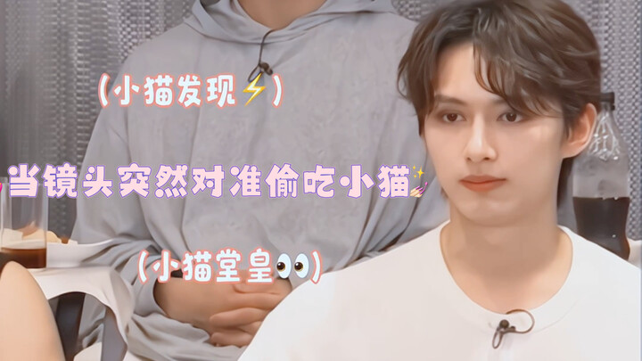 Khi ống kính bất ngờ lia tới chú mèo đang lén ăn và chú chó đang ho [Wen Junhui] [Kim Min-kyu]