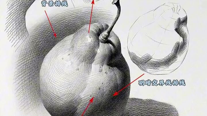 Kaidah penempatan garis pada bagian tertentu dalam sketsa benda mati