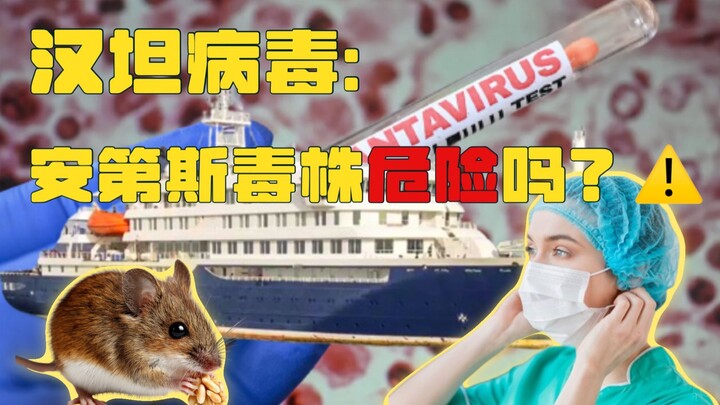 漢坦病毒：安第斯毒株到底有多危險？Hantavirus: Is the Andean strain dangerous?