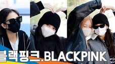 BLACKPINK ends Malaysia concert, SGBAC enters