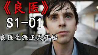 一个自闭症男孩，从小励志当一名医生，而他的特殊能力，也让他有了成为神医的资本。