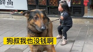 إذا كان لديك أطفال في المنزل، فلا تُربِّ قطة، فهذا ليس جيدًا للكلاب!