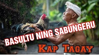 BASULTU NING SABUNGERU
