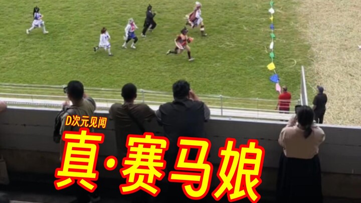 真·赛马娘🐎 【D次元见闻】