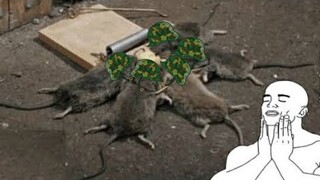 Spawn trapping is an art