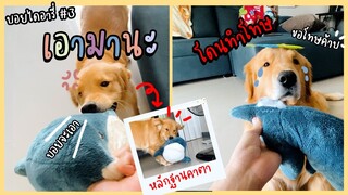 บอยโดนทำโทษ กัดพี่หลามจนขาด!! - บอยไดอารี่