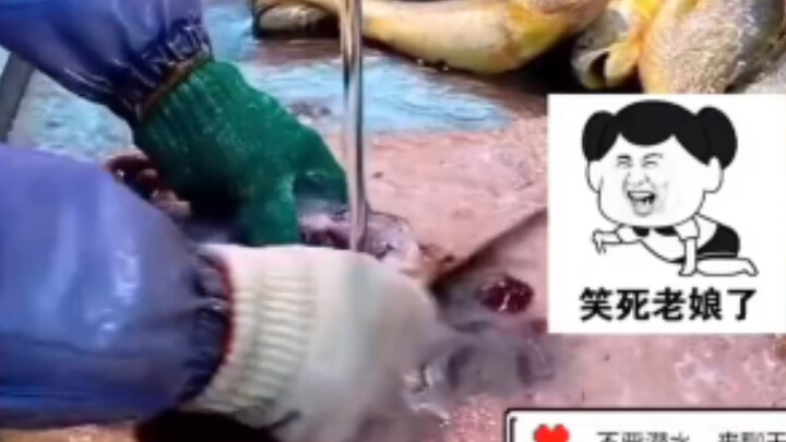 How hilarious is selling fish in a livestream?