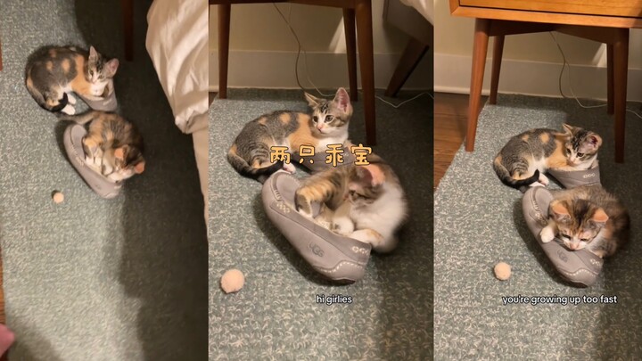 Dua bayi menggemaskan yang manis duduk di atas sandal