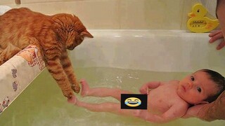 Funniest Cats - Best Of The 2021 Funny Animal Videos #7| MEOW