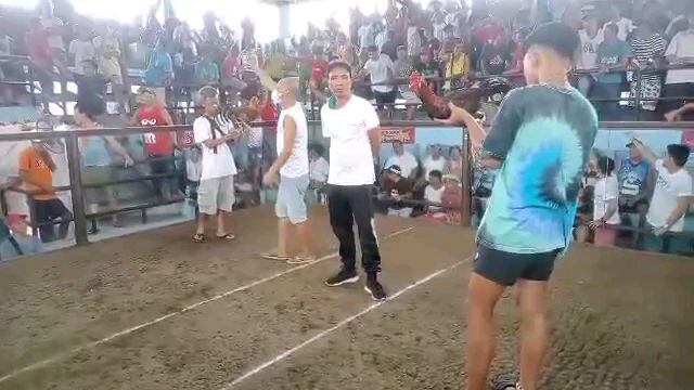 asil over red kelso win po tayo unscratched💪💪