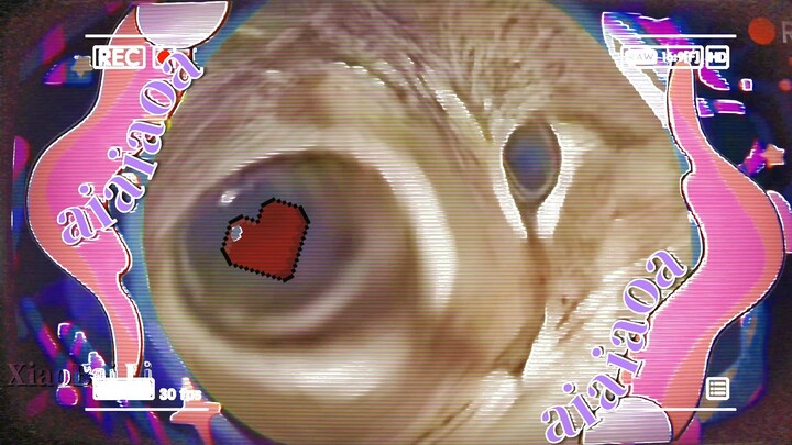 【oiiaiaiiiai】Stalking (Pure Enjoyment Version)