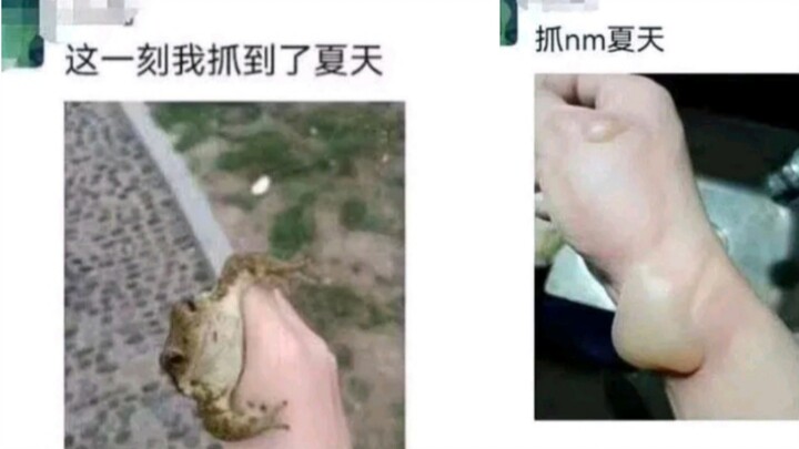网络大师的神评49