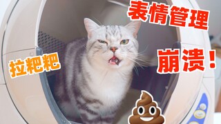 猫的表情管理在拉屎的那刻 失效了！！