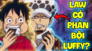 LIỆU LAW CÓ PHẢN BỘI LẠI LUFFY TRONG TƯƠNG LAI?!