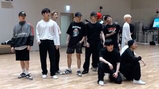 【SEVENTEEN】次人专属条件反射