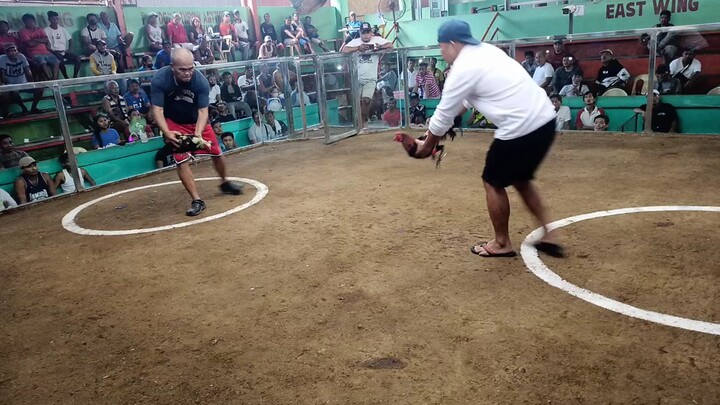 RDG Double Black in Action 1st fyt