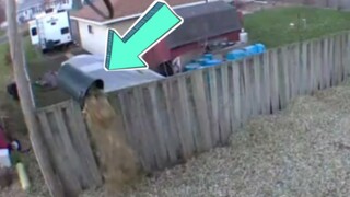 当邻居把落叶全倒进你家院子里时，你该如何应对？