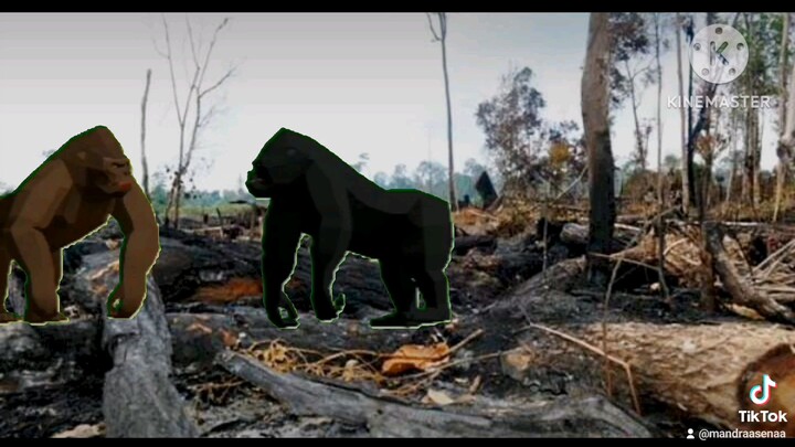 semoga kedzaliman hancur lebur sprt perbuatan mereka yg menghancurkan kehidupan