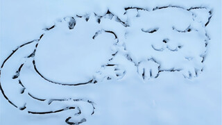 下雪了！画只猫咪#亲子简笔画 #儿童简笔画 #育儿简笔画