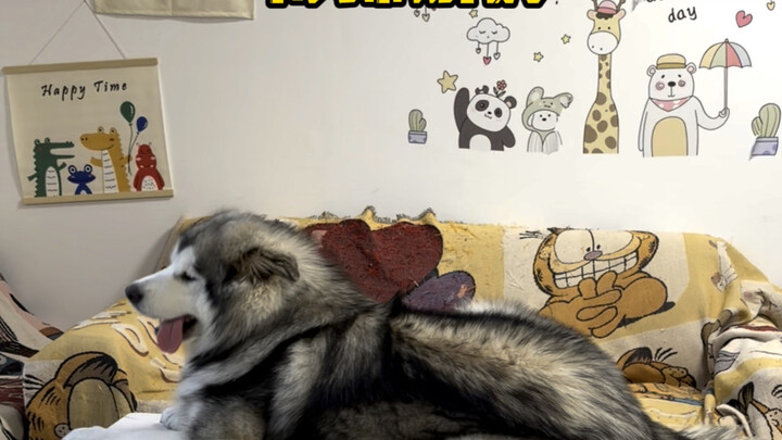 Chiếc bàn: Vốn còn có thể sửa chữa được, giờ thì hỏng hoàn toàn rồi.