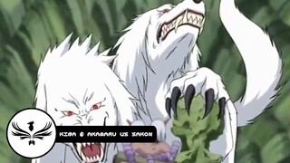 Kiba & Akamaru vs Sakon | Naruto | English  Dub