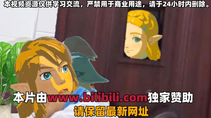 【Phần 2】The Legend of Zelda: “Để ta xem Link đang làm gì nào”