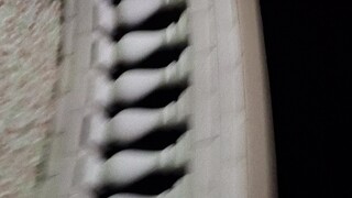 Có... có rất nhiều chim én ở nhà tôi... Này... này... này...(。•﹃ •。)