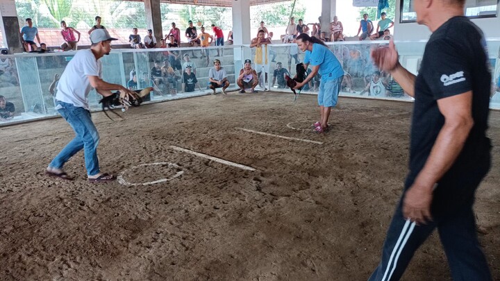 bulik 2x winner at new magic island cockpit arena Botolan Zambales.