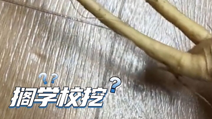 At school, she earned the nickname “the girl who passed out after eating dogbane.”