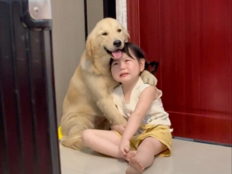 Diêu: Kể lể với Mao Đản
