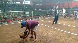 bandirado po ang atin dyan mga idol... 👍🏼👏🏼🙏🏼