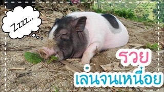 บรรยากาศดีวิวสวย 🐖รวยสบาย555
