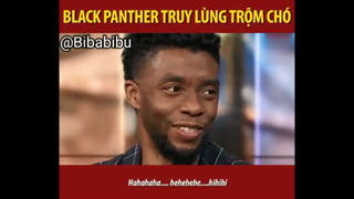 BLACK PANTHER PHÁ ÁN VỤ TRỘM CHÓ JOHN WICK #funny