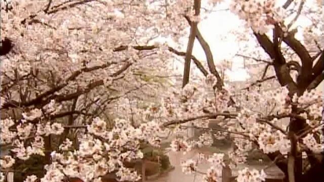 Gokusen season 1 episode 1 sub indo