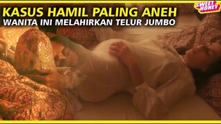 Gak Tau Siapa Bapaknya - Tiba-Tiba Lahir Telur Gajah - Pregnant Horror