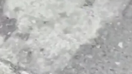 الاحتيال يلتقي بالسطو