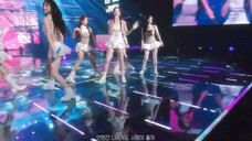 粉色裤子那个是皇族吗?怎么一直站c位