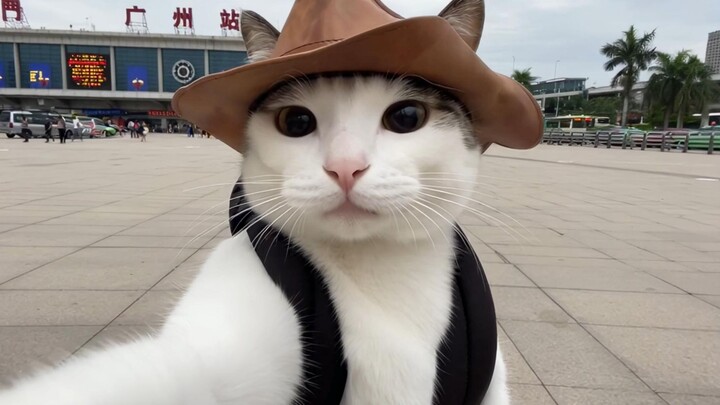 Kenapa Kucing Punya Vlog Masuk Sekolah (Merekam Sehari Saat Masuk Sekolah)