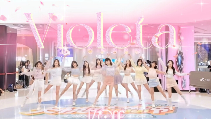 【𝑷𝑷𝑿Planet Group】Tears! I can still see such neat dwarf balls in 2025! 🌸Spring limited edition ball 